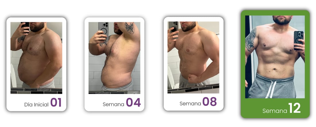 Proceso de Andy: día inicial, semana 4, semana 8 y semana 12
