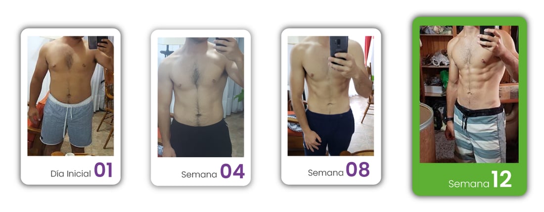 Proceso de Francisco: día inicial, semana 4, semana 8 y semana 12