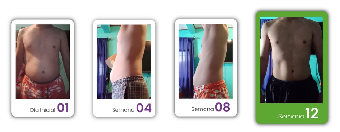 Proceso de Gelberth: día inicial, semana 4, semana 8 y semana 12