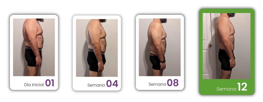 Proceso de Héctor: día inicial, semana 4, semana 8 y semana 12
