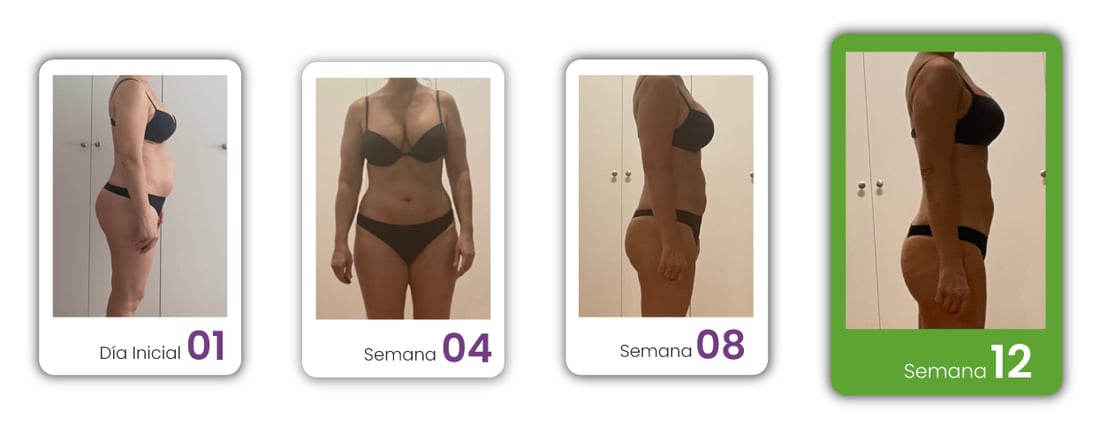 Proceso de Julia: día inicial, semana 4, semana 8 y semana 12